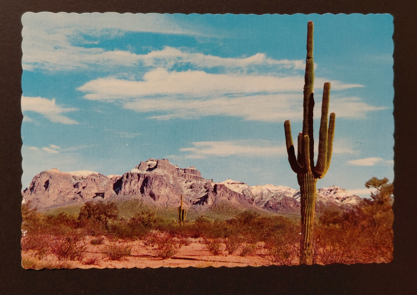 Superstition Mountain Near Mesa — Arizona Desert & Saguaro — Vintage Petley Postcard c.1960s–70s