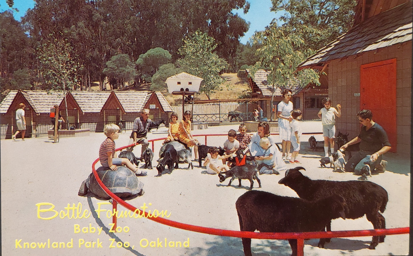 Baby Zoo Oakland