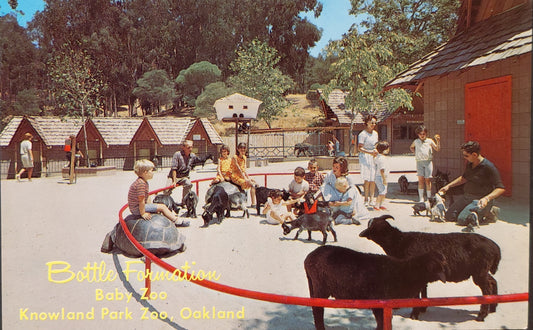 Baby Zoo Oakland